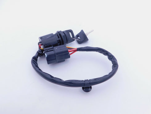 HONDA IGNITION SWITCH  2019-2025 TALON 1000 GENUINE OEM 35100-HL6-A01 2 KEYS